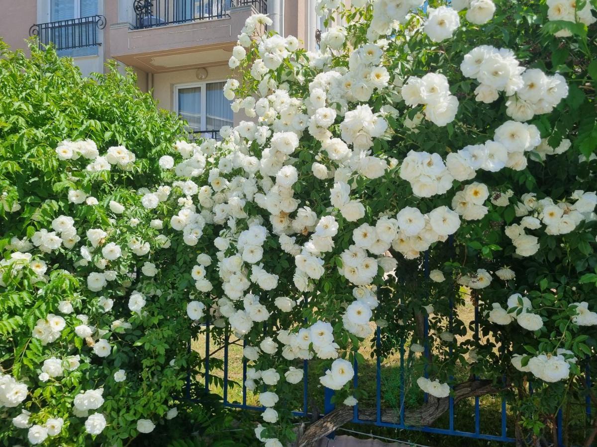 Studio Apartment With Balcony 300M From Beach Sunny Beach Esterno foto